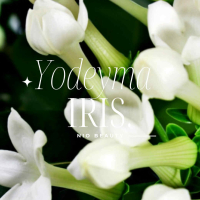 Iris Damesparfum Yodeyma 50 Ml